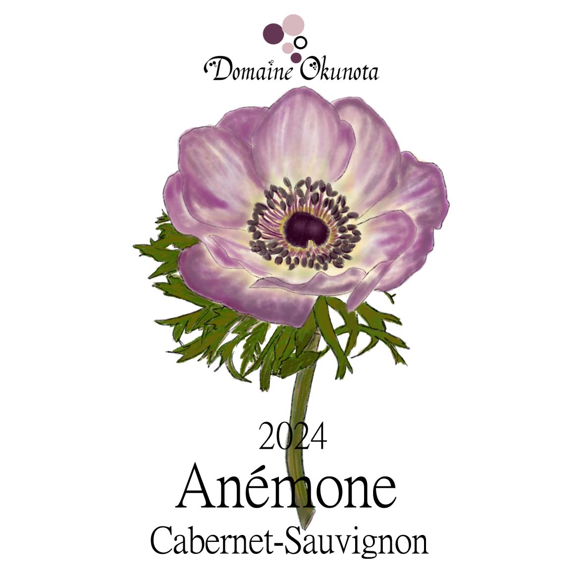 2023アネモネ カベルネソーヴィニヨン